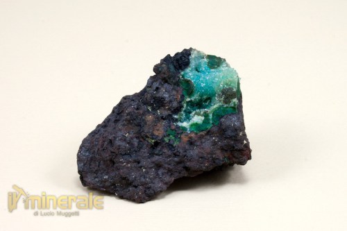 mn620-2_minerali_collezione_quarzo_crisocolla_messico.logo