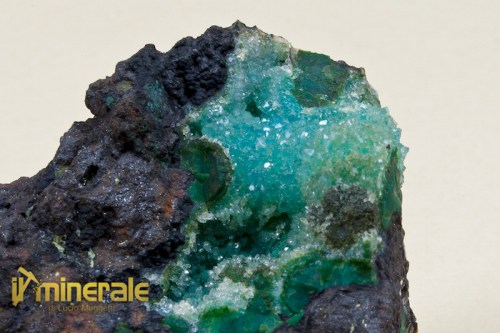 mn620-3_minerali_collezione_quarzo_crisocolla_messico.logo