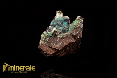 mn621-1_minerali_collezione_quarzo_crisocolla_messico.logo