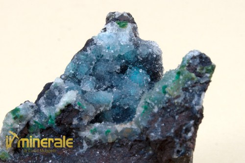 mn621-3_minerali_collezione_quarzo_crisocolla_messico.logo