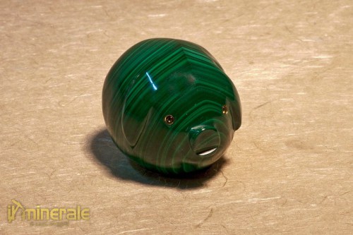 og035_1_maiale_malachite_zaire